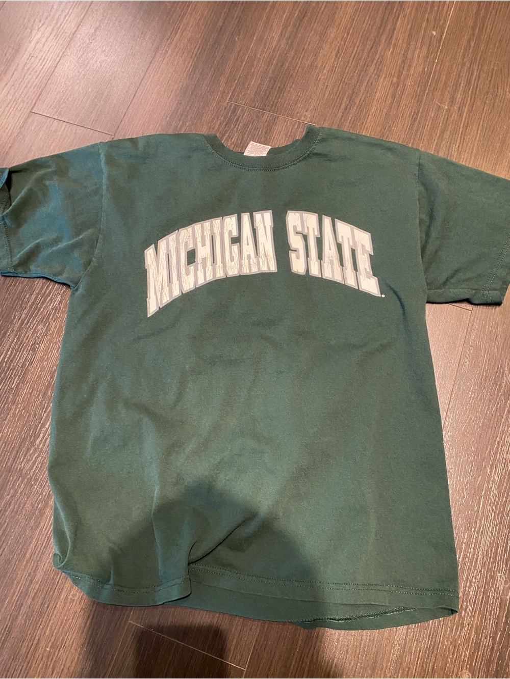 Michigan State Large Green T-Shirt